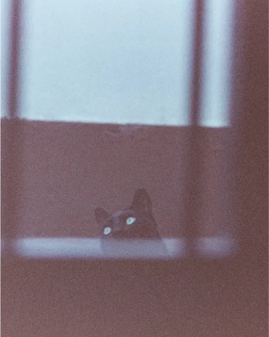 A black cat peeking above a dark window ledge.