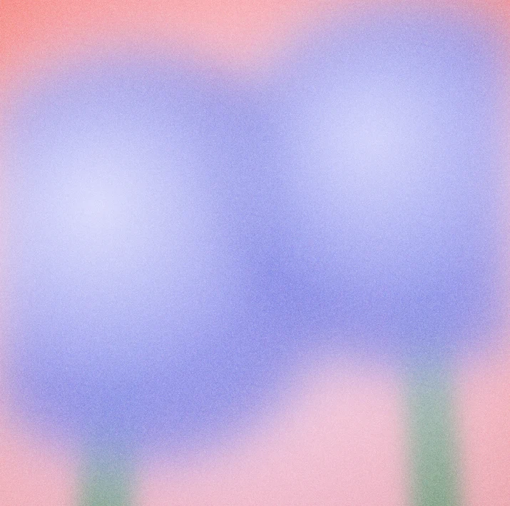 Lilac flowers on green stems swaying against a coral sky melting into lilac.